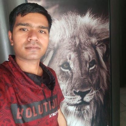 Picture of Pritesh pravinbhai